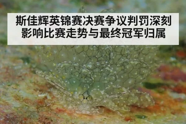 斯佳辉英锦赛决赛争议判罚深刻影响比赛走势与最终冠军归属