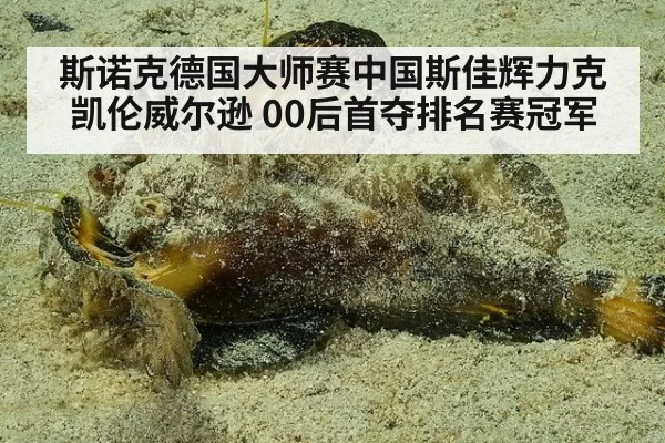 斯诺克德国大师赛中国斯佳辉力克凯伦威尔逊 00后首夺排名赛冠军