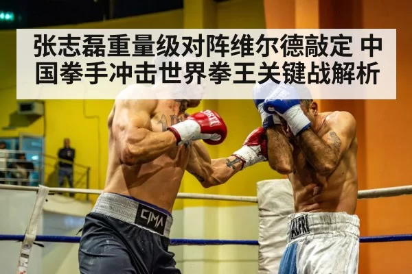 张志磊重量级对阵维尔德敲定 中国拳手冲击世界拳王关键战解析