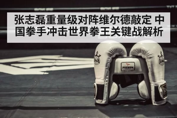 boxing ring gloves